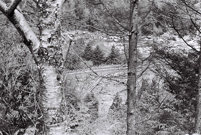 ����X�ѓS������������u����i�t���z�j�v