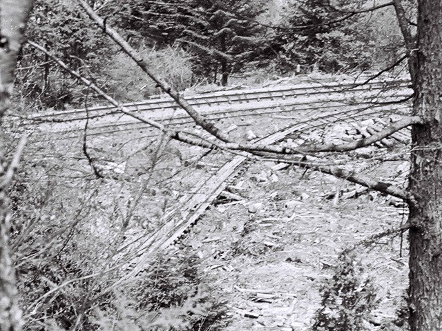 ����X�ѓS������������u����i�t���z�j�v