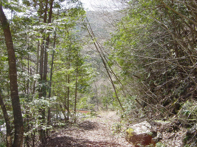 ����X�ѓS��,��������ѓS,�p����,����,�t���z