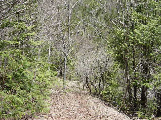 ����X�ѓS��,��������ѓS,�p����,����,�t���z