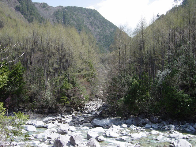 ����X�ѓS��,��������ѓS,�p����,����,�t���z