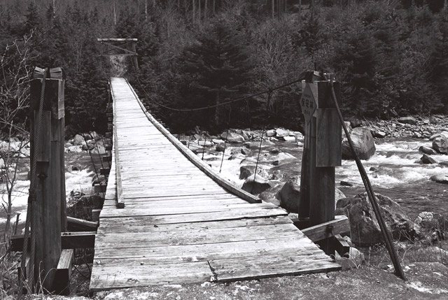 ����������X�ѓS��,�ѓS,�p����,����,�݂苴