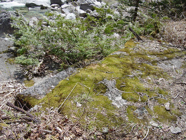 ����������X�ѓS��,�ѓS,�p����,����,�݂苴