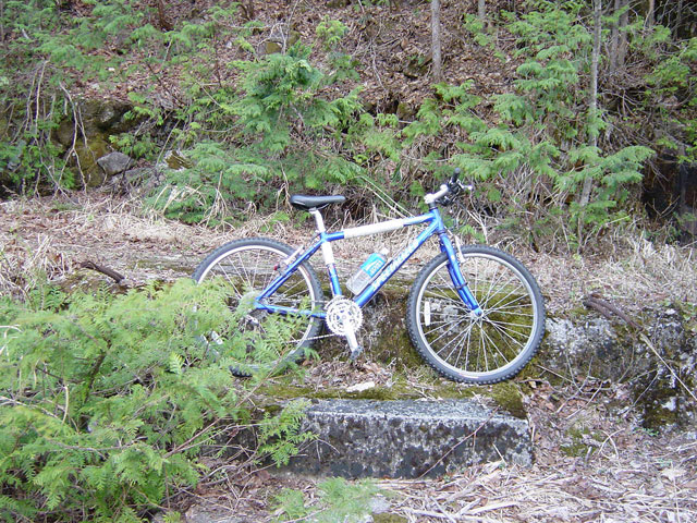 ����������X�ѓS��,�ѓS,�p����,����,����