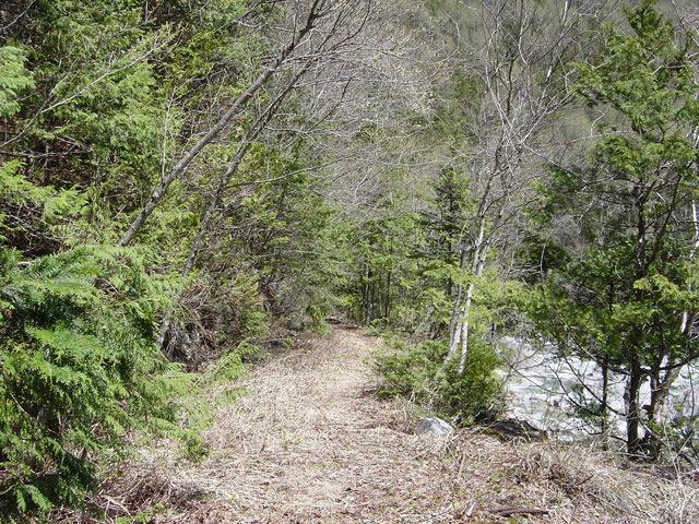 ����X�ѓS������������u�����ԏ�[�V����ԏ�v