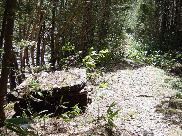 �E�O�C��X�ѓS��,�ѓS,�E�O�C��,�p����,���ꑺ