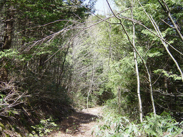 �E�O�C��X�ѓS��,�ѓS,�E�O�C��,�p����,���ꑺ