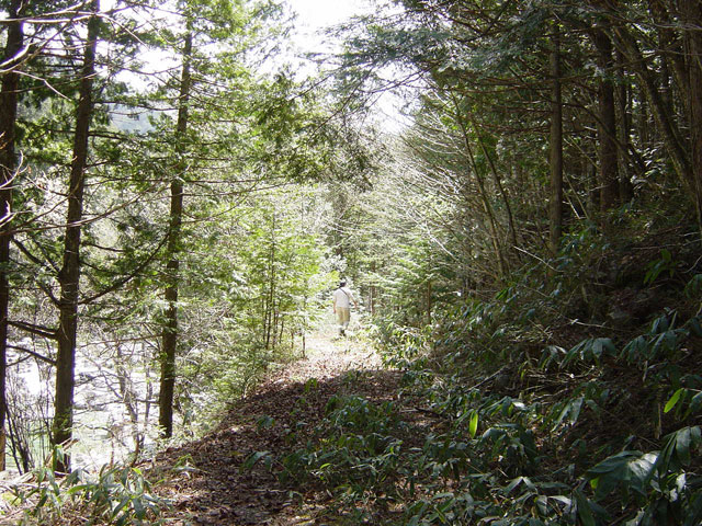 �E�O�C��X�ѓS��,�ѓS,�E�O�C��,�p����,���ꑺ