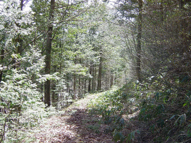 �E�O�C��X�ѓS��,�ѓS,�E�O�C��,�p����,���ꑺ