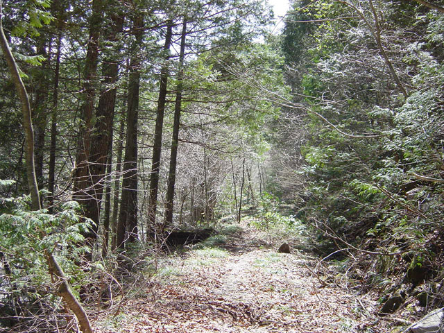 �E�O�C��X�ѓS��,�ѓS,�E�O�C��,�p����,���ꑺ