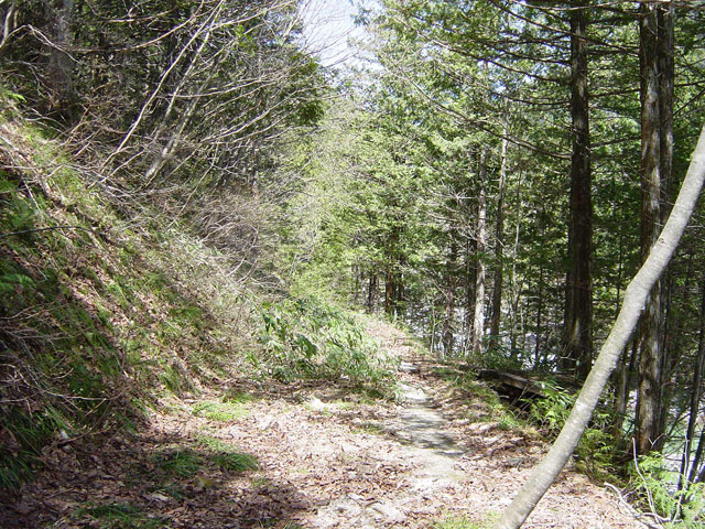 �E�O�C��X�ѓS��,�ѓS,�E�O�C��,�p����,���ꑺ