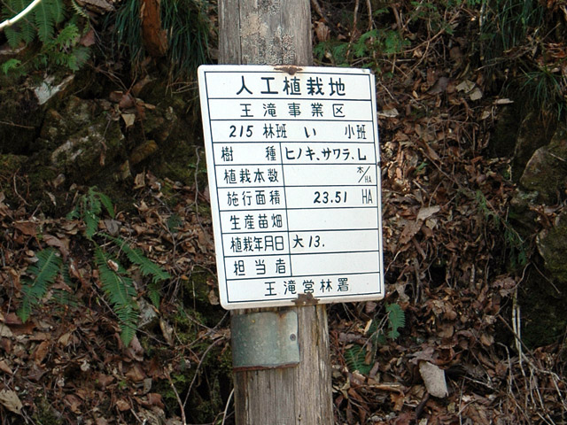 �ؑ]�X�ѓS��,��������ѓS,�p����,���ꑺ