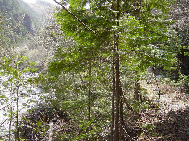 �ؑ]�X�ѓS��,��������ѓS,�p����,���ꑺ