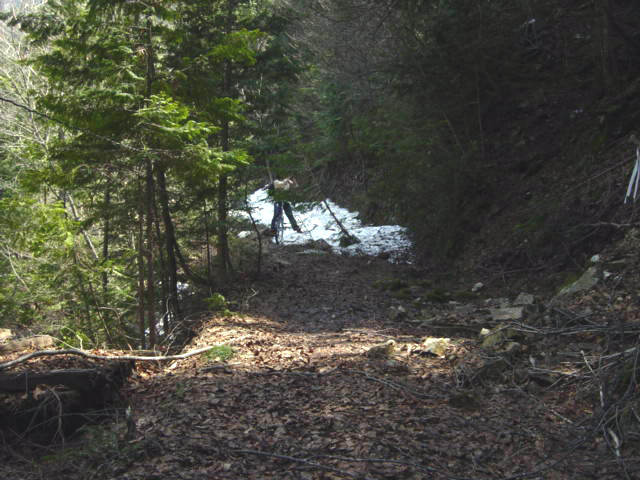 �ؑ]�X�ѓS������������u����[�V���v