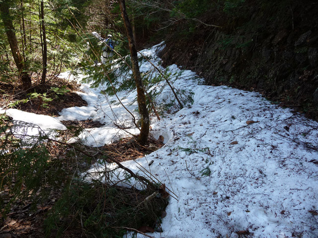 �ؑ]�X�ѓS��,��������ѓS,�p����,���ꑺ