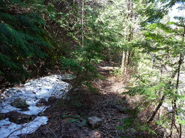 �ؑ]�X�ѓS��,��������ѓS,�p����,���ꑺ