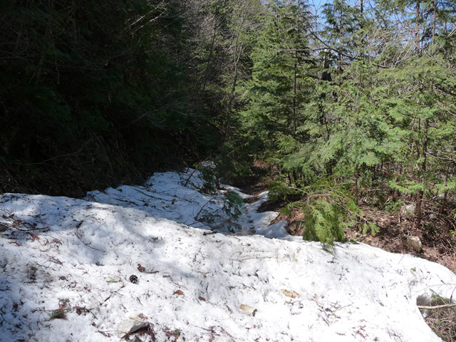 �ؑ]�X�ѓS��,��������ѓS,�p����,�O����