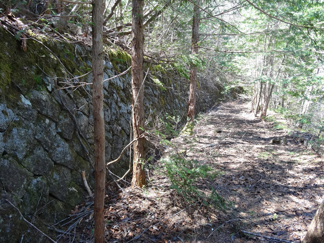 ��������X�ѓS��,�V����ԏ�,�ѓS,�p����