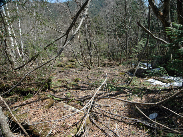 ����X�ѓS�����������,�V����ԏ�,�ѓS,�p����