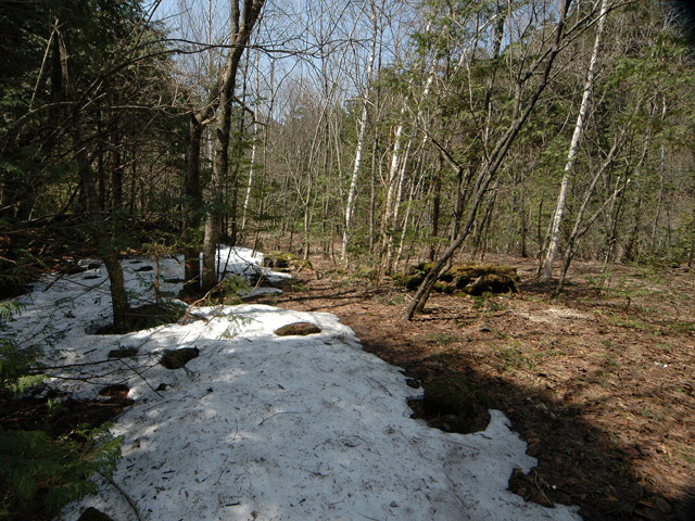 ����X�ѓS�����������,�V����ԏ�,�ѓS,�p����