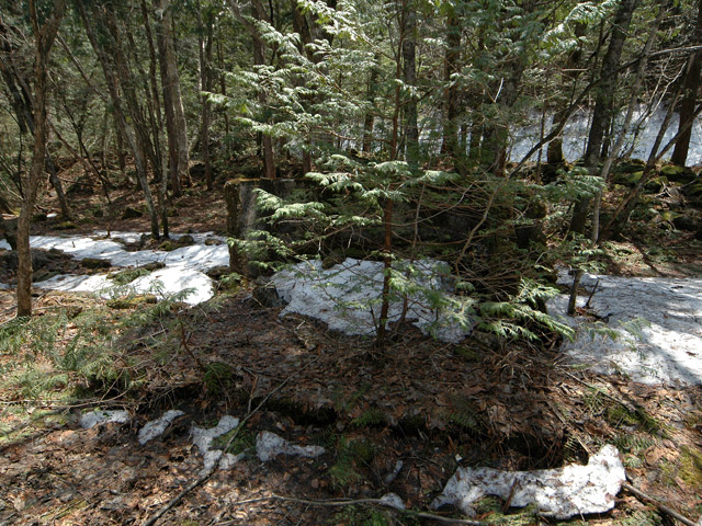 ����X�ѓS�����������,�V����ԏ�,�ѓS,�p����