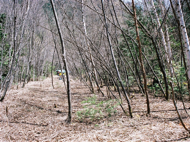 ��������X�ѓS��,�V����ԏ�,�ѓS,�p����