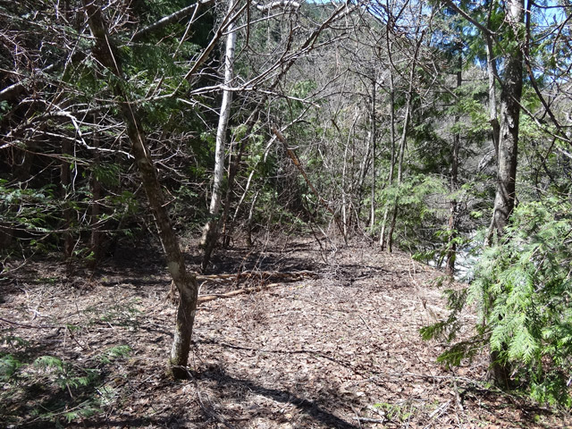 ��������X�ѓS��,�V����ԏ�,�ѓS,�p����