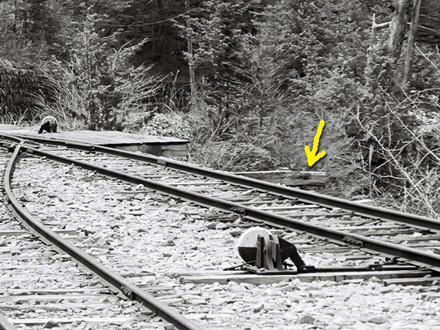 ��������X�ѓS��,�V����ԏ�,�ѓS,���[��