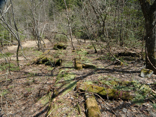 ����X�ѓS�����������,�V����ԏ�,�ѓS,�p����