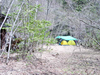 ����X�ѓS�����������,�V����ԏ�,�ѓS,�p����