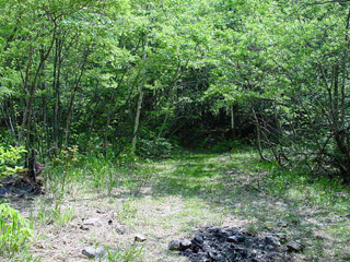 ����X�ѓS�����������,�V����ԏ�,�ѓS,�p����