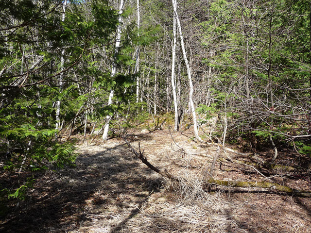 ����X�ѓS�����������,�V����ԏ�,�ѓS,�p����