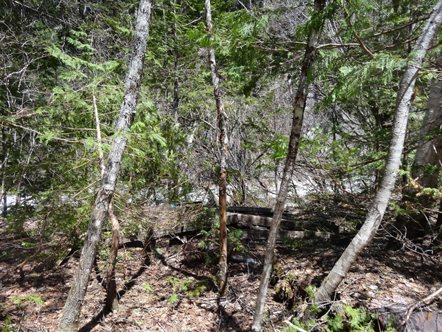 ����X�ѓS�����������,�V����ԏ�