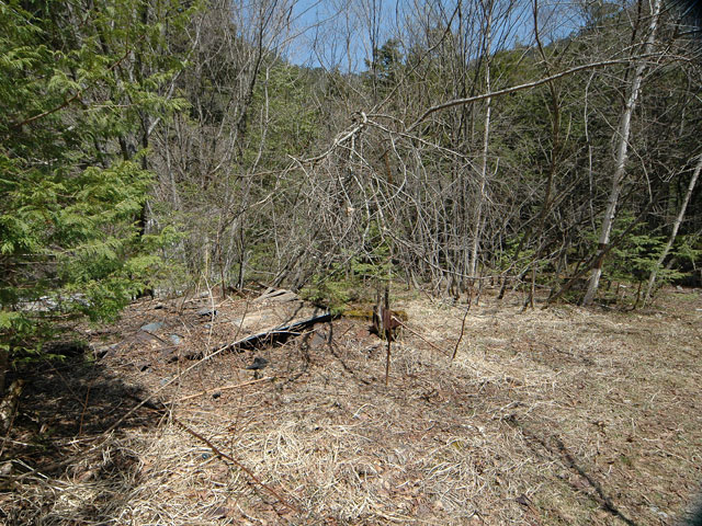 ��������X�ѓS��,�V����ԏ�,�ѓS,�ې�