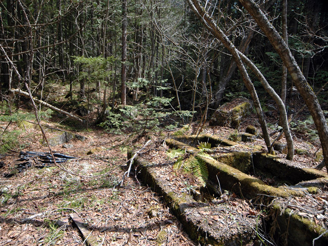 ��������X�ѓS��,�V����ԏ�,�ѓS,�ې���h��