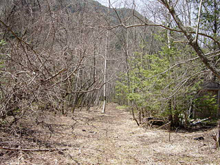 ����X�ѓS�����������,�V����ԏ�,�p����,�ѓS,�㏼�^�A�c�я�