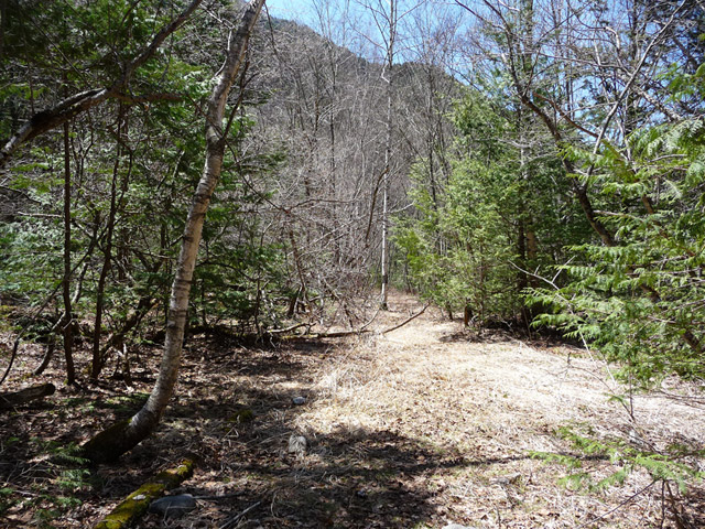 ����X�ѓS�����������,�V����ԏ�,�p����,�ѓS,�㏼�^�A�c�я�