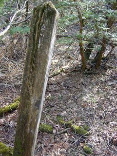 �X�ѓS��,�ѓS,�ѓ��W,�ې���E�W