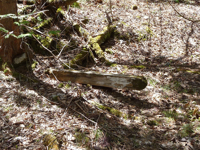 �X�ѓS��,�ѓS,�ѓ��W,�ې���E�W