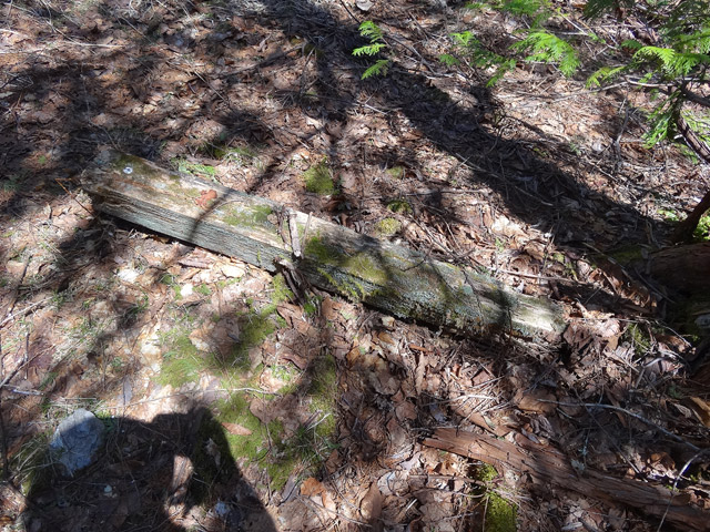 �X�ѓS��,�ѓS,�ѓ��W,�ې���E�W