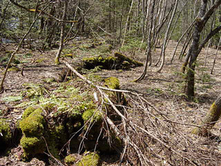 �X�ѓS��,�ѓS,�ѓ��W,�ې���E�W