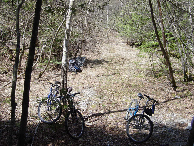 ����X�ѓS�����������,�V����ԏ�,�ѓS,�p����