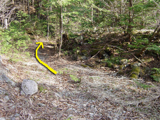 ��������X�ѓS��,�V����ԏ�,�ѓS,�p����