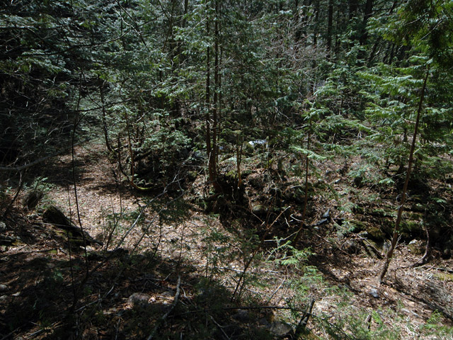 ��������X�ѓS��,�V����ԏ�,�ѓS,�p����