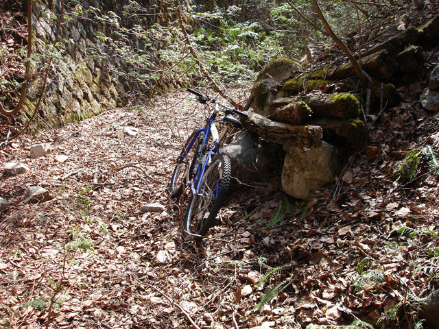 ��������X�ѓS��,�V����ԏ�,�p����,�ѓS