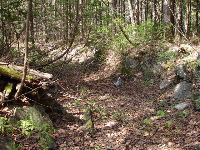 ��������X�ѓS��,�V����ԏ�,�p����,�ѓS