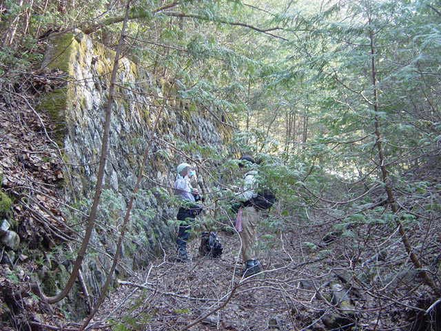 �X�ѓS����������ѓS,�V����ԏ�,�p����,�Ί_