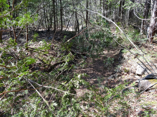 �X�ѓS����������ѓS,�V����ԏ�,�p����,�Ί_