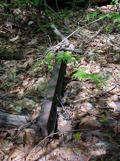 �X�ѓS����������ѓS,�V����ԏ�,�p����,���[��