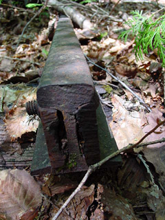 �X�ѓS����������ѓS,�V����ԏ�,�p����,���[��